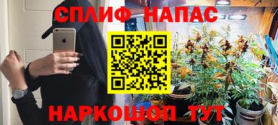 прущие грибы Чебаркуль
