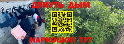 прущие грибы Чебаркуль