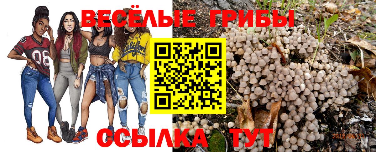 Мефедрон кристаллы  Вход с VPN  Урус-Мартан  Бошки Шишки  COCAIN  АМФ   Наркошоп  ГАШ 
